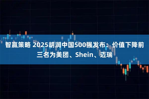 智赢策略 2025胡润中国500强发布：价值下降前三名为美团、Shein、迈瑞